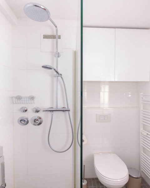 Badezimmer Blick auf Dusche links mit Regenwalddusche und Handbrause, Glastrennwand, Toilette rechts davon
